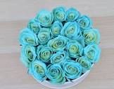 باکس گل رز آبی طرح دایره - Rosyrose