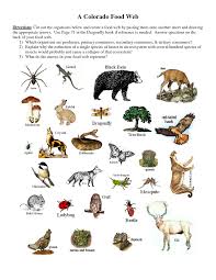 Producers Consumers And Decomposers Activity Decomposers Activity Food Web Food Web Worksheet