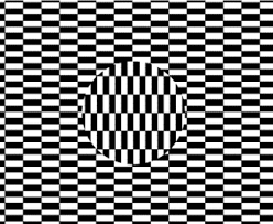 Image result for illusion pictures