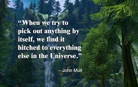 Environmental Quotes John Muir Quotesgram