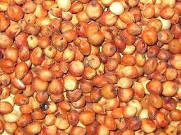 Milo Or Sorghum Is A Filler In Bird Blends That Attract Very Few Few Birds Which Is Surprising Because It Is A Very Popular Seed In Wild B Sorghum Seeds Grains