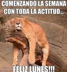 Muchos pueden pensar distintas cosas de nuestros 4. Ja Ja Y Con Lluvia Tras Lluvia Imagenes Chistosas Para Whatsapp Buenos Dias Divertido Imagenes De Feliz Dia Del Padre