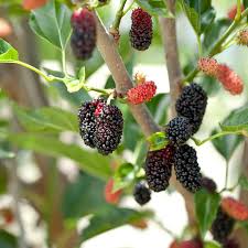 Actrice porno né en 2006 i have been here in the past, PO