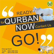 Proposal permohonan hewan qurban idul adha 1434 h masjid al hidayah melikan. Contoh Brosur Jual Hewan Qurban Lakaran