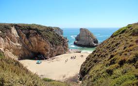 Shark Fin Cove  Northern California  California  World Beach Guide