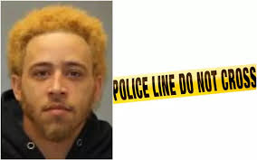 Gruesome Details Emerge in Murder of Hudson Valley Musician