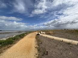 Photo Charente-Maritime : la pointe de Port-des-Barques repousse le ...