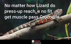 178 Pidgin Quotes Quotes Nigeria
