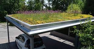 Anleitung In 7 Schritten So Einfach Lasst Sich Ein Dach Begrunen In 2020 Gartenhaus Dach Carport Dach Dach