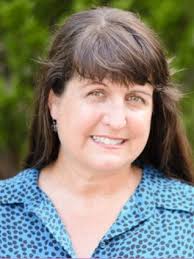 Ontario County races to watch