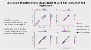 Mithal lb, otero s, shanes ed, et al. Jci Efficient Maternal To Neonatal Transfer Of Antibodies Against Sars Cov 2 And Bnt162b2 Mrna Covid 19 Vaccine
