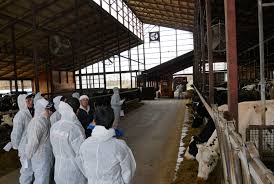 写真02原田牧場ＦＳ牛舎増改築のポイントは・・ | 日本酪農青年研究連盟