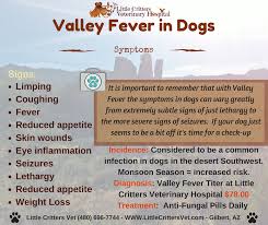 Valley Fever In Dogs Symptoms Valley Fever Small Animal Clinic Pet Clinic