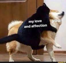 My Love And Affection Cute Love Memes Cute Memes Cute I Love You