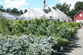 We did not find results for: Our Nursery Yard 16 Acres Garden Center
