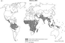 Endemic Disease An Overview Sciencedirect Topics