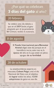 Las últimas noticias de colombia. Hoy Celebramos El Primer Dia Del Gatitos Haciendo Cosas Facebook