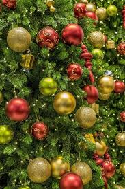 christmas, tree, ornament, deco, shining, decoration, beautiful ...