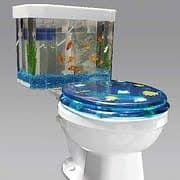 Fish need oxygenated water to survive (it's how they breathe), and toilet water isn't oxygenated enough. Design A Fish Tank And We Ll Reveal What Type Of Fish You Actually Are Weird Furniture Cool Toilets Toilet Designs