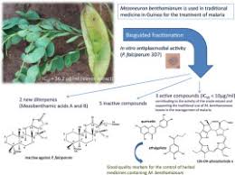 Image result for Mezoneuron