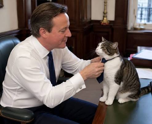 Larry the Cat has quietly become one of the most stable figures in British  politics. While governments changed, leaders came and went, Larry stayed  right where he belongs at 10 Downing Street,