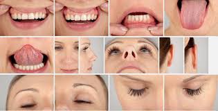 Debbie High Res Skin Texture Photo Set by 3d-sk