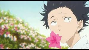 Image result for Kotschya sp.no.A