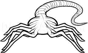 I made this egg for my boyfriend because he is an alien fan and introduced me to the trilogy/quadrilogy. How To Draw A Facehugger Facehugger Alien Step By Step Drawing Guide By Dawn Dragoart Com