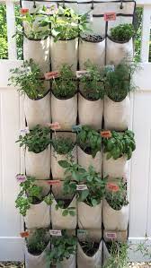 Hanging Herb Garden With How To Garden Design Hanging Herbs Hanging Herb Garden Diy Herb Garden