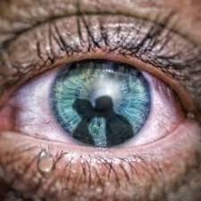 L'occasion de découvrir cet auteur iconoclaste aux éditions le retour aux sources. Jalousie 210 Citations Proverbes Et Aphorismes Sur L Envie