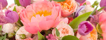 May 24, 2021 · cecil brandon, jr. Free Photo Flowers Beautiful Bunch Flower Free Download Jooinn