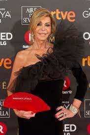 El ex marido de bibiana fernández reaparece en 'hormigas blancas' para hablar de su nueva vida pero no de ex. Bibiana Fernandez Wikipedia