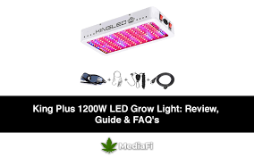 This full spectrum includes warm and cool white spectrum of 3500k and 7000k respectively. King Plus 1200w Led Grow Light 2020 Review Guide Faq S