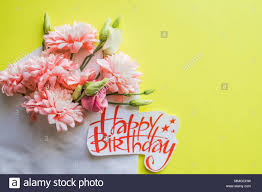 Insieme alle piccole roselline colorate o margheritine, è il fiore più indicato per i compleanni di amiche o amici. Rosa Tenue Crisantemi E Buon Compleanno Poster Bellissimi Fiori Scheda Con Bouquet Di Primavera Buon Compleanno Card Con Crisantemi Foto Stock Alamy