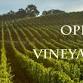 Opera in the Vineyard