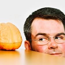 Claus C Hilgetag (@CCHilgetag)