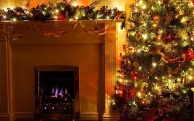 Caring for your christmas plant decoration. The Best Festive Christmas Decorations From The Garden