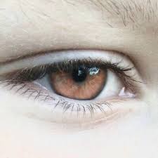 Pin By Kkki Hassh On Eyes Amber Eyes Pretty Eyes Eye Photography