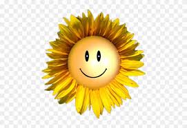 See more ideas about smiley, smiley face, yellow smiley face. Sunflower With Smiley Face Hd Png Download 540x700 6356120 Pngfind
