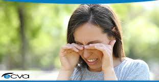 You can see how to get to eye care associates on our website. Dry Eye Treatment Near Me Eye Care Vision Associates
