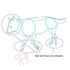 Easy dog drawing tutorial step 3: How To Draw A Dog 2 How To Draw The Body And Pose Medibang Paint
