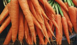 Tendersweet Carrot Seeds 1000 Seeds Carrots Heirloom Non Etsy How To Store Carrots Carrots Vegetables