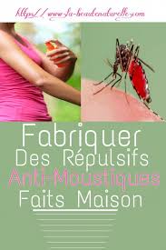 Pour Eviter Une Maladie Transmise Par Un Moustique Nous Allons Vous Montrer Comment Fabriquer Des Repulsifs Ant En 2020 Anti Moustique Anti Moustique Maison Moustique