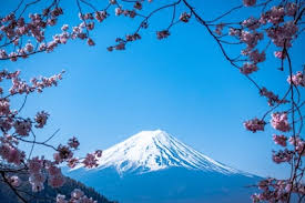 Japan vending machine zoom video background zoombackgrounds $ 1.00. Japan Zoom Background