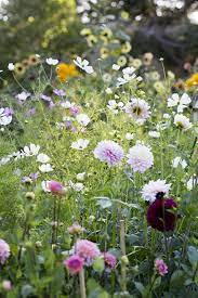 Pin On Cutting Gardens And Floral Design