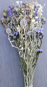 Maybe you would like to learn more about one of these? Dried Blue Flowers Dried Flower Bouquets For Sale