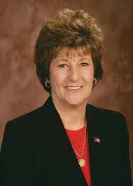 Budget Report for Fiscal 2019