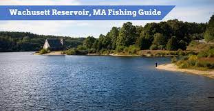 We did not find results for: Wachusett Reservoir Massachusetts Fishing Guide Top Fishing Spots