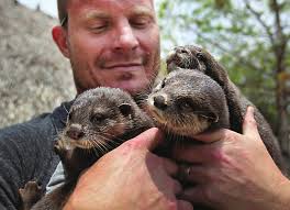 Kids cap season at 4-H show, sale