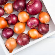 These small dried onions are. Growing Onions Everything You Need To Know The Prairie Farm Table